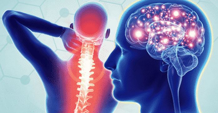 Trauma – Head & Spine Injury